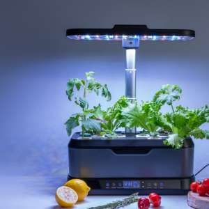 Best indoor grow lights for vegetables